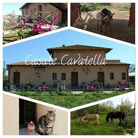 Casale Cavatella Bed and Breakfast Sermoneta Eksteriør billede