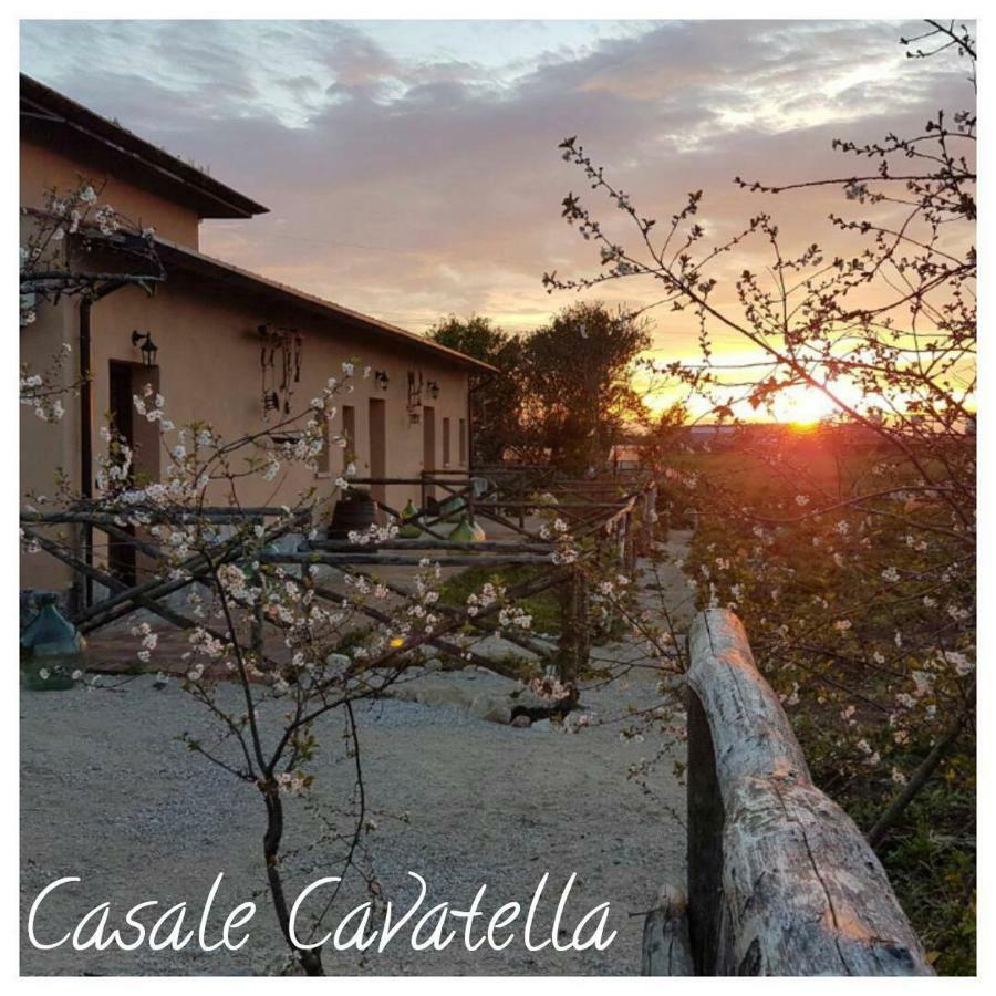 Casale Cavatella Bed and Breakfast Sermoneta Eksteriør billede
